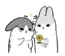 Machiko rabbit