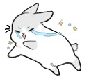 Machiko rabbit