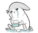 Machiko rabbit