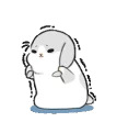 Machiko rabbit