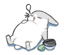 Machiko rabbit