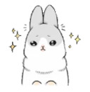 Machiko rabbit