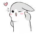 Machiko rabbit