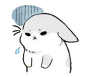 Machiko rabbit