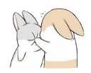 Machiko rabbit