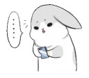 Machiko rabbit