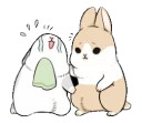 Machiko rabbit