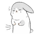Machiko rabbit