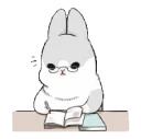 Machiko rabbit