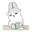 Machiko rabbit