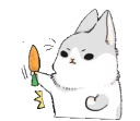 Machiko rabbit