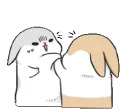 Machiko rabbit