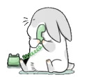 Machiko rabbit