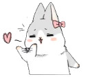 Machiko rabbit