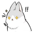 Machiko rabbit