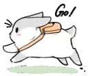 Machiko rabbit