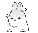 Machiko rabbit