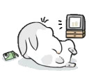 Machiko rabbit