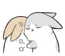 Machiko rabbit