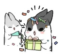 Machiko rabbit