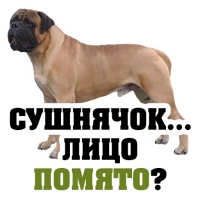 8 МАРТА