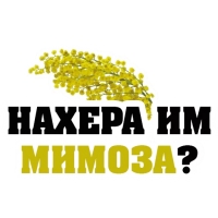 8 МАРТА