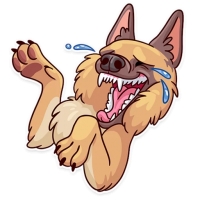 Memes Dog