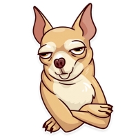 Memes Dog