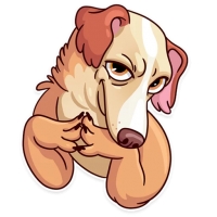 Memes Dog