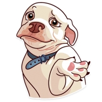 Memes Dog