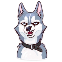 Memes Dog