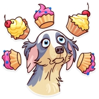 Memes Dog