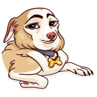 Memes Dog