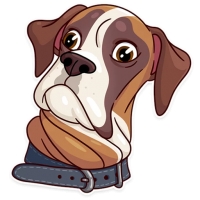 Memes Dog