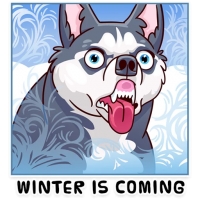 Memes Dog