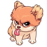 Memes Dog