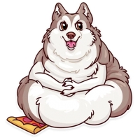 Memes Dog