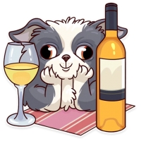 Memes Dog