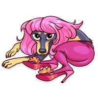Memes Dog