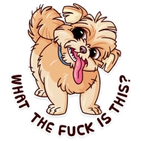Memes Dog