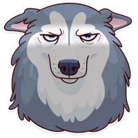 Memes Dog