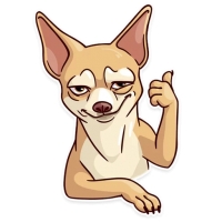 Memes Dog