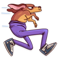 Memes Dog