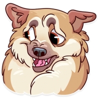 Memes Dog