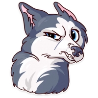 Memes Dog
