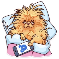 Memes Dog