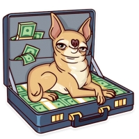 Memes Dog