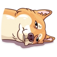 Memes Dog