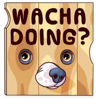 Memes Dog