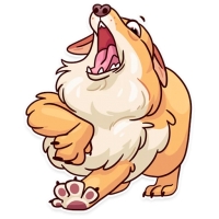Memes Dog